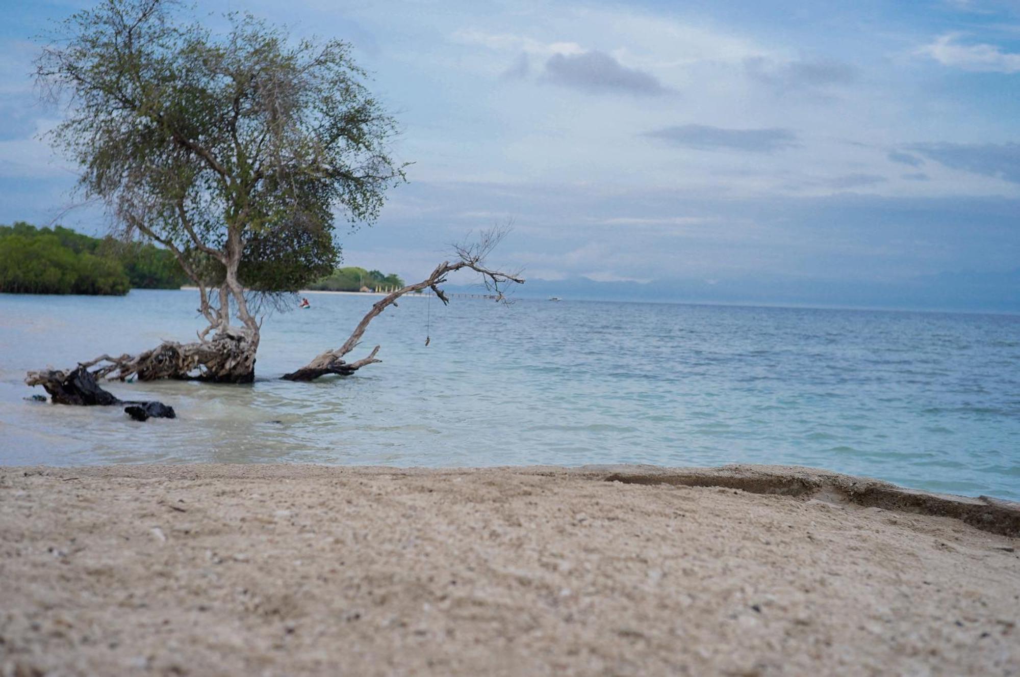Yut'S Inn Flower Paradise Gili Gede エクステリア 写真